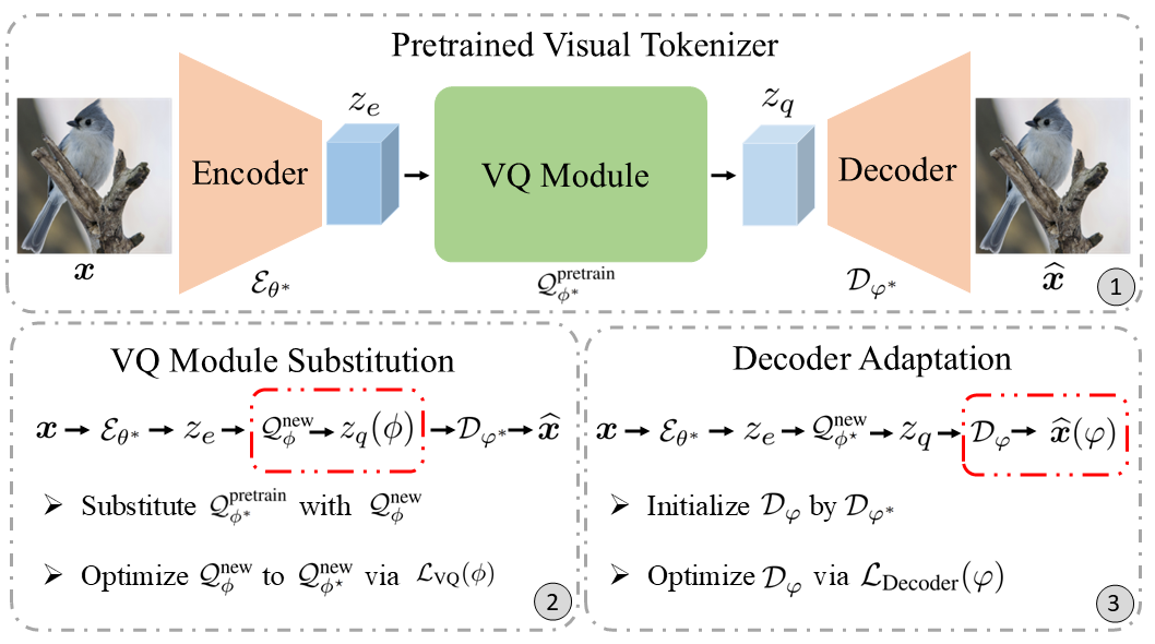 VQ-Transplant methodology pipeline