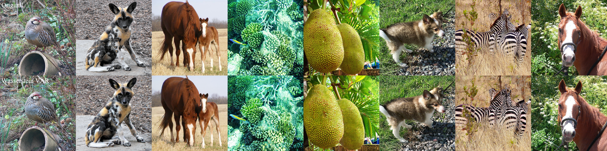 Original ImageNet images in the top row and reconstructions from Wasserstein VAR in the bottom row.